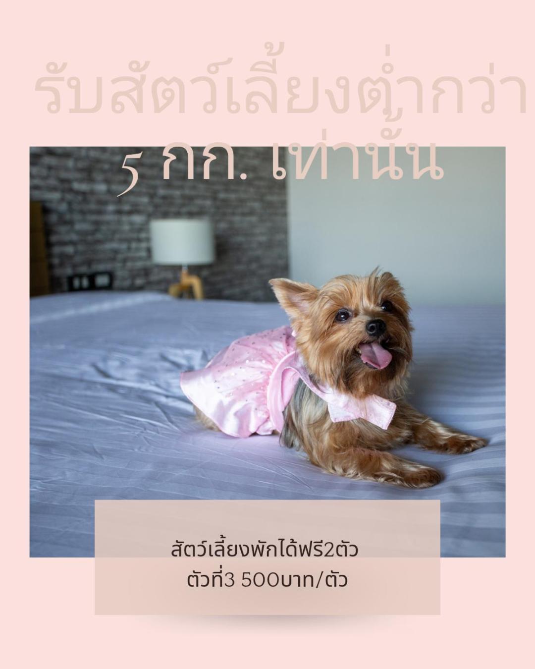 Get Zleep Premium Budget Hotel Chiang Mai Esterno foto